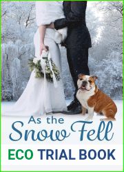 As the Snow Fell: A Lake Harriet Novel