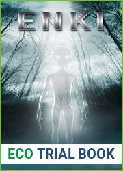 Enki (The Kwan Thrillers #9)