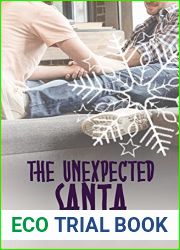 The Unexpected Santa (The Sin Bin, #5)