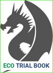 The Dragons| Diaries