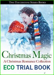Christmas Magic: A Christmas Fling A Cupcake Christmas (Touchstone #2, #5)