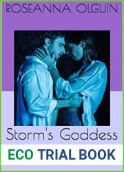 Storm|s Goddess: A Fillmore Rockstar Romance