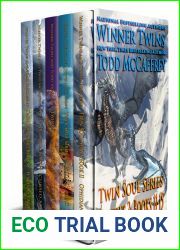 Twin Soul Series Omnibus 3: Books 11-15 (Twin Soul Series Book Sets)