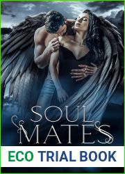 Soulmates (Angels of the Secret Order Book 2)