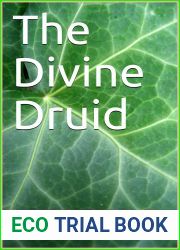 The Crossing (The Divine Druid #1)