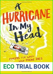 A Hurricane in my Head