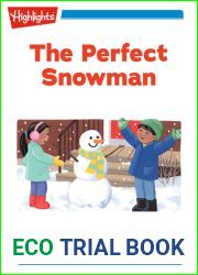 The Perfect Snowman