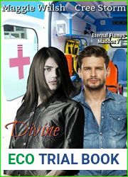 Divine Intervention (Eternal Flames Maddox #7)