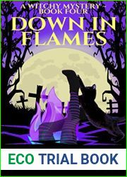 Down in Flames (Witches Be Crazy #5)