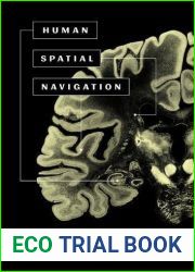 Human Spatial Navigation