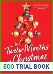 The Twelve Months of Christmas: A Cozy Christmas Romance Novel