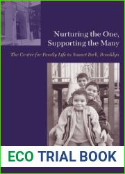 Nurturing the One, Supporting the Many: The Center for Family Life in Sunset Park, Brooklyn