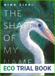 The Shape of My Name
