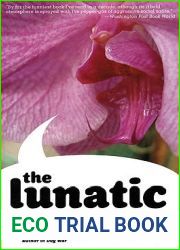 The Lunatic