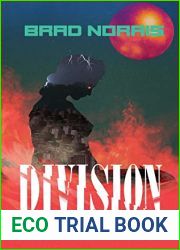 Division: The Chronicles of the Fallen States of America