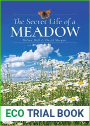 The Secret Life of a Meadow