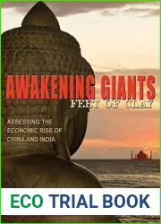 Awakening Giants, Feet of Clay: Assessing the Economic Rise of China and India