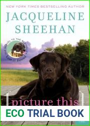 Picture This (Rocky Pelligrino, #2)