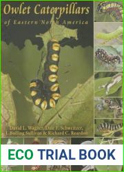 Owlet Caterpillars of Eastern North America