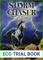Storm Chaser