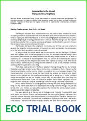 Introduction to The Monad