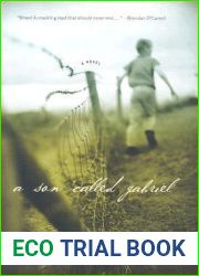 A Son Called Gabriel