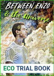 Between Enzo and the Universe