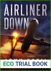 Airliner Down