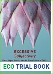 Excessive Subjectivity: Kant, Hegel, Lacan, and the Foundations of Ethics (Insurrections: Critical Studies in Religion, Politics, and Culture)