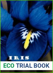 Iris Avenue (Rose Hill Mysteries #3)