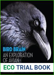 Bird Brain: An Exploration of Avian Intelligence