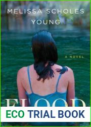 Flood