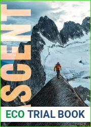 Ascent (Peak, #3)