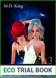 Hawk|s Apocalypse: Book 3. A magical harem adventure in a post apocalyptic future .
