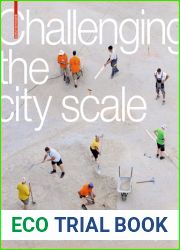 Challenging The City Scale: Journeys in People-Centred Design