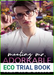 Meeting Mr. Adorkable: MM Small Town Romance (Collier|s Creek)