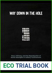 Way Down in the Hole: Race, Intimacy, and the Reproduction of Racial Ideologies in Solitary Confinement (Critical Issues in Crime and Society)