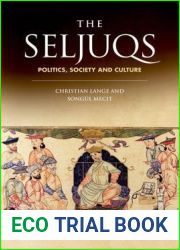 The Seljuqs: Politics, Society and Culture