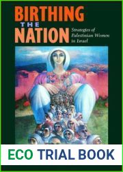 Birthing the Nation: Strategies of Palestinian Women in Israel (Volume 2) (California Series in Public Anthropology)