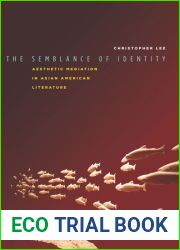 The Semblance of Identity: Aesthetic Mediation in Asian American Literature