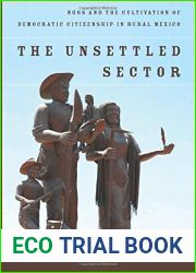 The Unsettled Sector: NGOs and the Cultivation of Democratic Citizenship in Rural Mexico