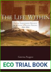 The Life Within: Local Indigenous Society in Mexico|s Toluca Valley, 1650-1800