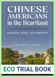 Chinese Americans in the Heartland: Migration, Work, and Community (Asian American Studies Today)