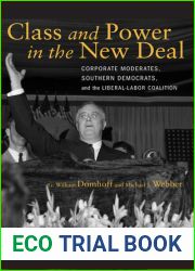 Class and Power in the New Deal: Corporate Moderates, Southern Democrats, and the Liberal-Labor Coalition (Studies in Social Inequality)