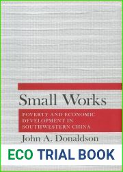Small Works: Poverty and Economic Development in Southwestern China
