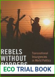 Rebels without Borders: Transnational Insurgencies in World Politics