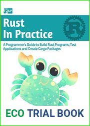 Rust In Practice: A Programmers Guide to Build Rust Programs, Test Applications and Create Cargo Packages
