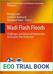 Wadi Flash Floods: Challenges and Advanced Approaches for Disaster Risk Reduction (Natural Disaster Science and Mitigation Engineering: DPRI reports)