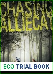 Chasing AllieCat