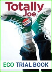 Totally Joe (The Misfits, #2)